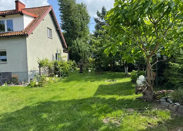 Appartement U Zosi *